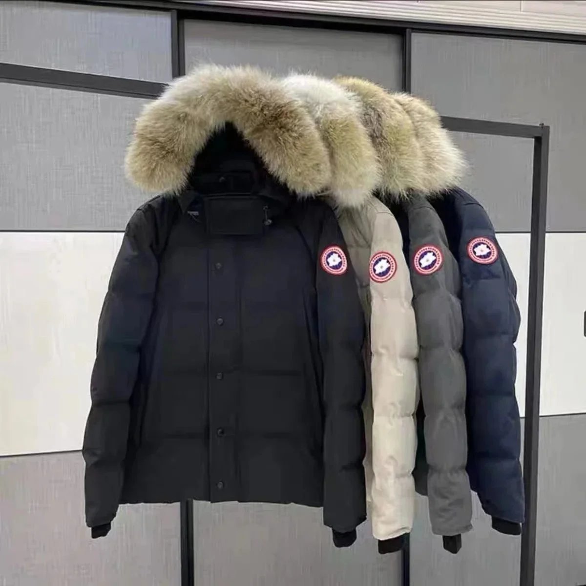 Fashion down jacket (W2C-006)