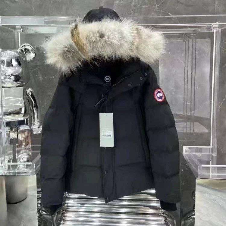 New Goose brand down jacket-CY